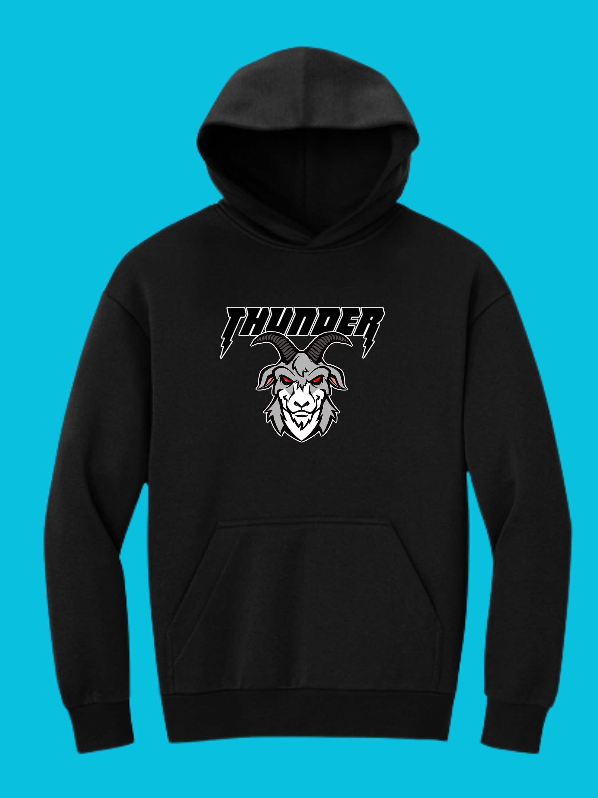 Thunder Goats District Heavy-weight Hoodie